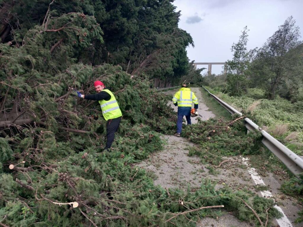 VIABILITA’ – 146/BIS Sinagra-Ponte Naso interdetta alla circolazione