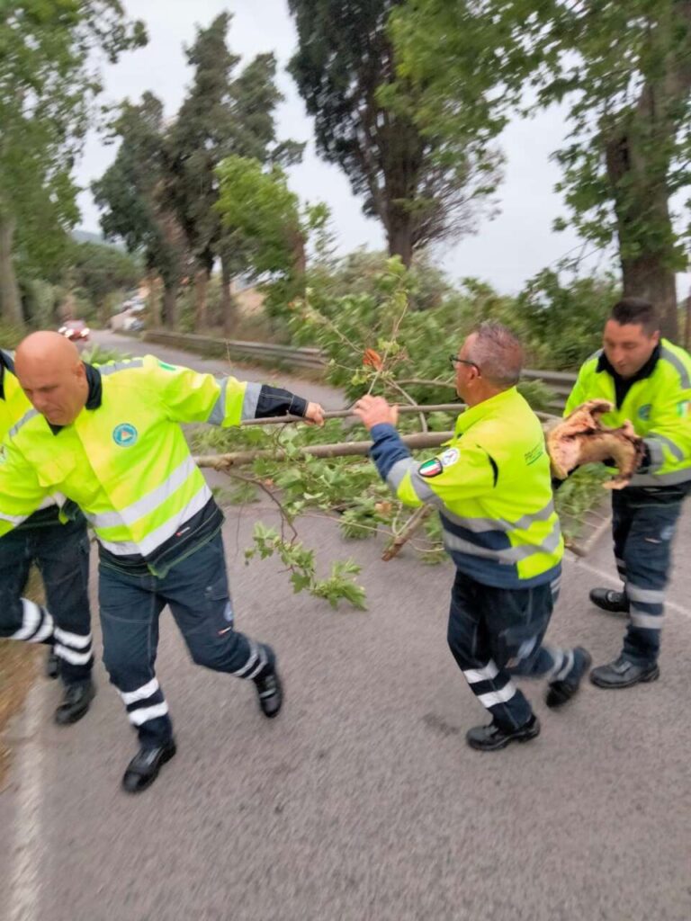 VIABILITA’ – Riaperta al traffico la S.P. 146/Bis Ponte Naso-Sinagra