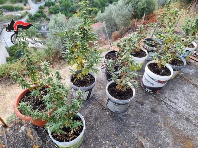 CARONIA – 16 piante di marijuana in casa, arrestato 46enne