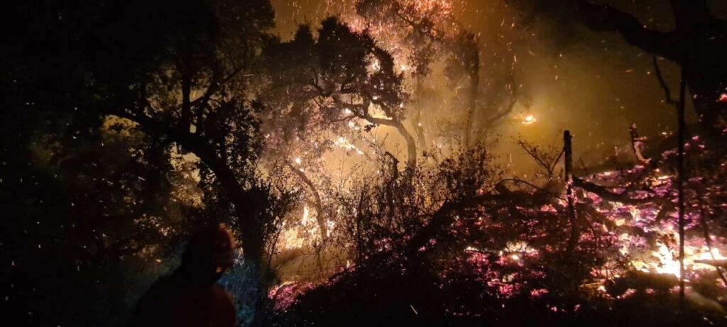 INCENDI – La poesia di Maria Concetta