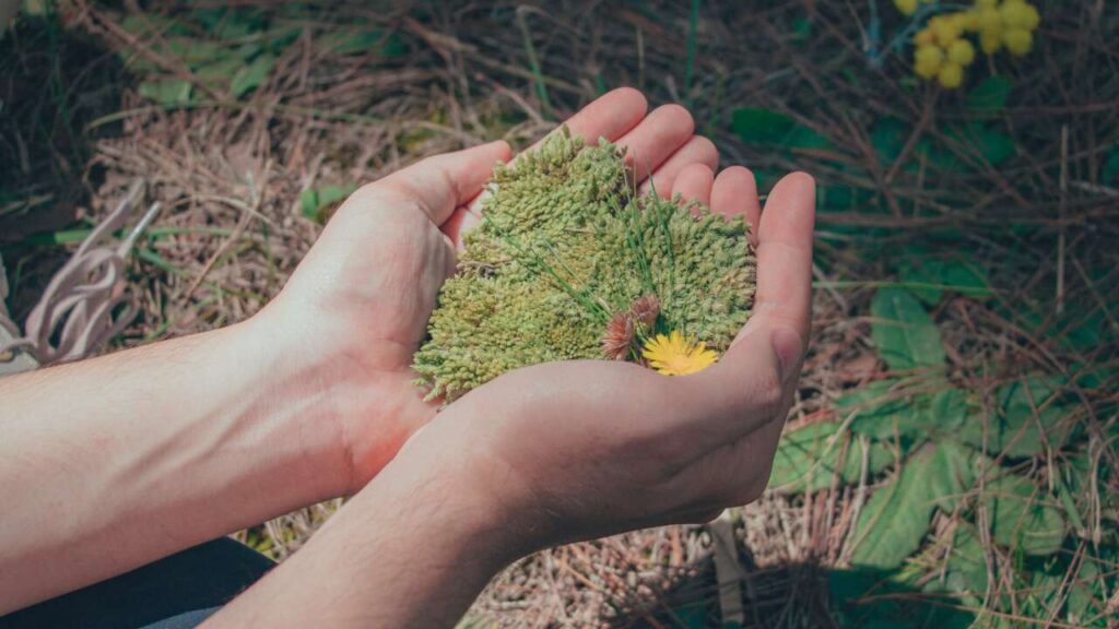 AMBIENTE – Cosa si intende per confezioni ecosostenibili