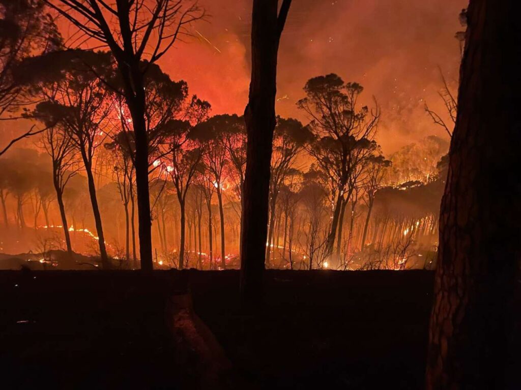 PIRAINO – La voce del Sindaco, Salvatore Cipriano: Riflessioni sulle sconvolgenti giornate di incendio