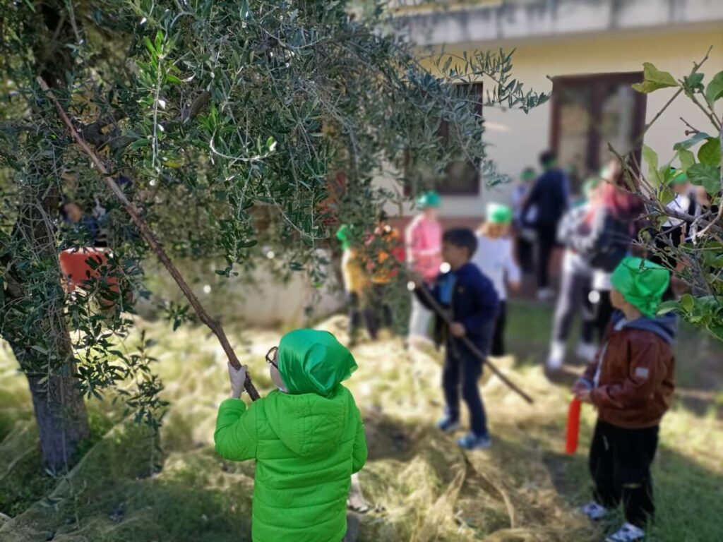 SAN MARTINO A FICARRA – Buona la seconda edizione della “Festa”
