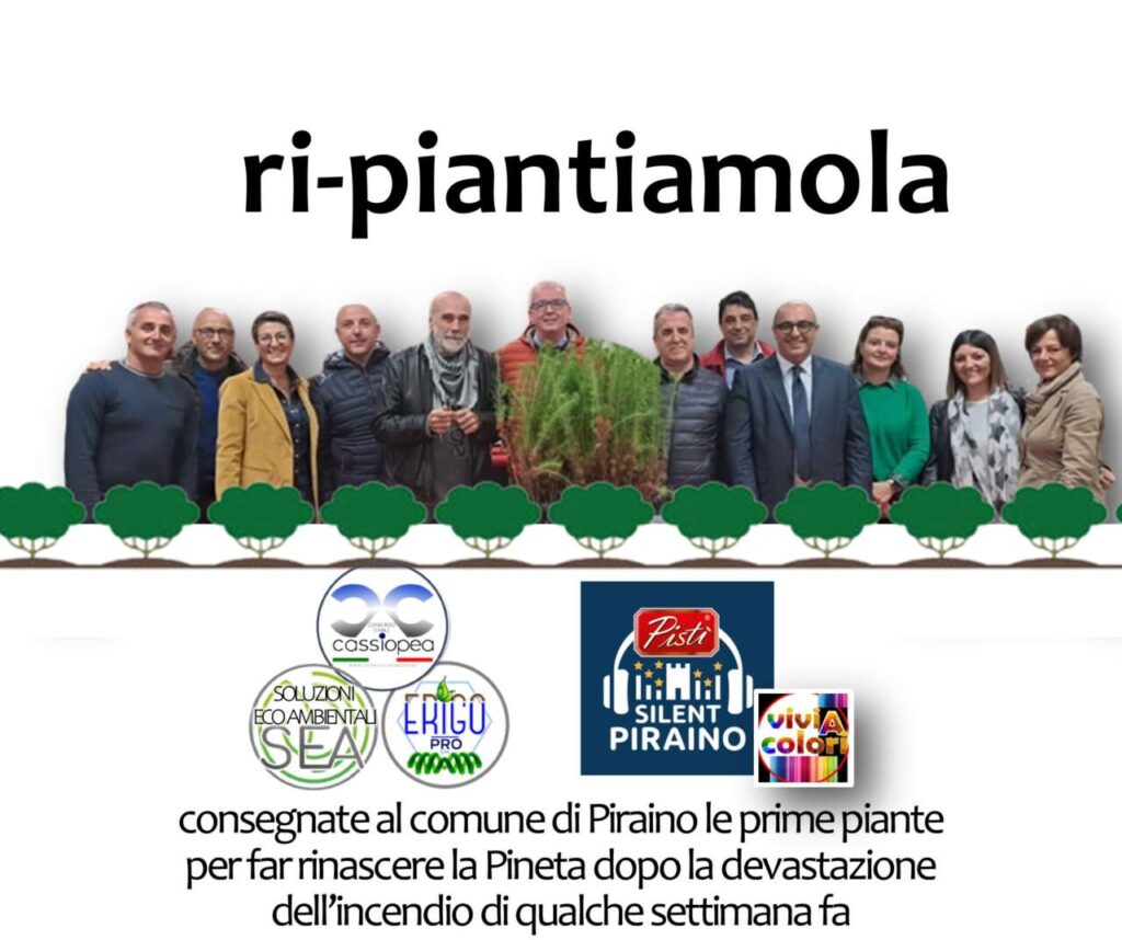 FATTI – Consegnati i primi 400 alberi per rifare verde la pineta di Piraino