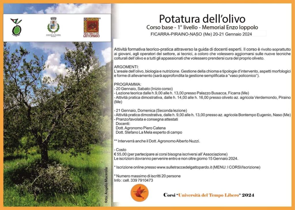 CORSO DI POTATURA DELL’OLIVO – Coinvolti i comuni di Ficarra, Piraino e Naso