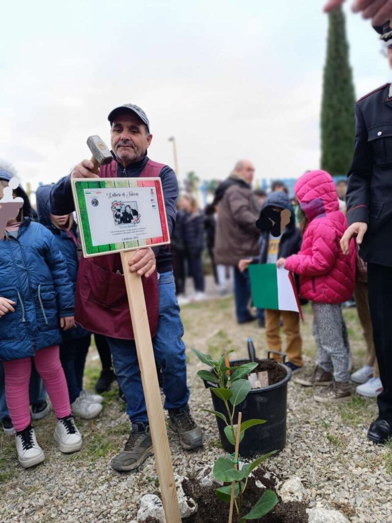 SIMBOLI & LEGALITA’ – Piantato “l’Albero di Falcone” nei giardini della scuola di Gliaca di Piraino