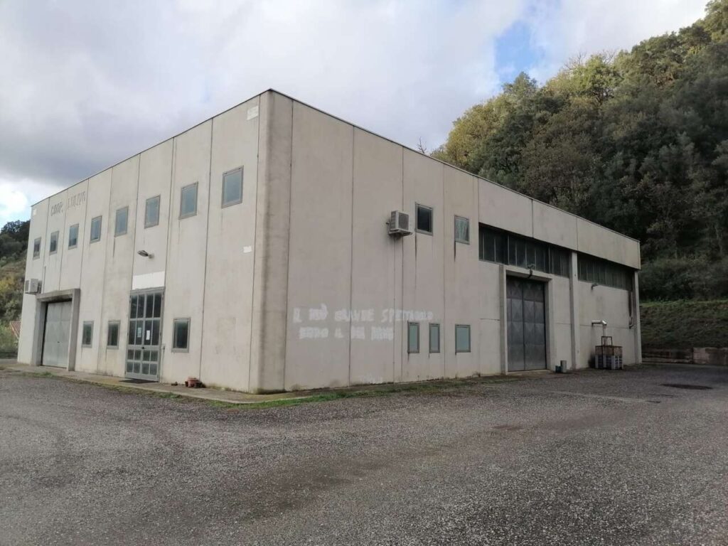SINAGRA – In liquidazione il frantoio della Cooperativa Agricola “L’Ulivo”