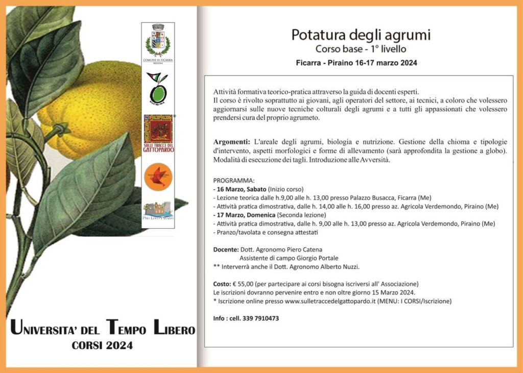 FICARRA – Corso di potatura degli agrumi
