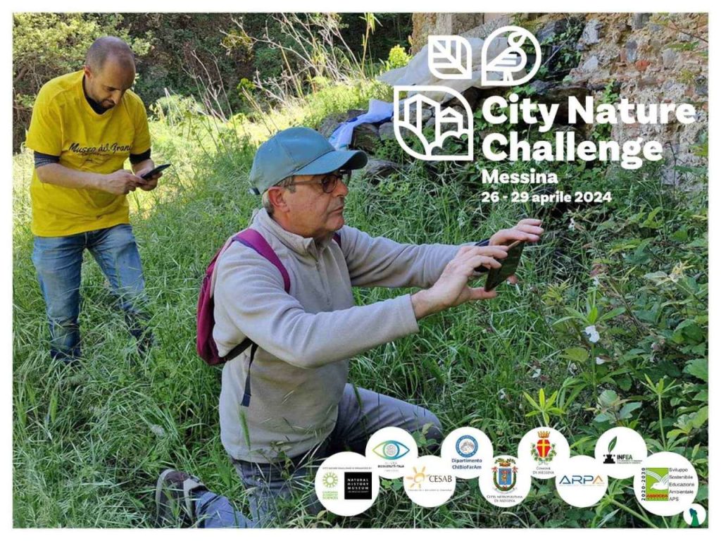 CITY NATURE CHALLENGE 2024 – A Messina … e non solo!