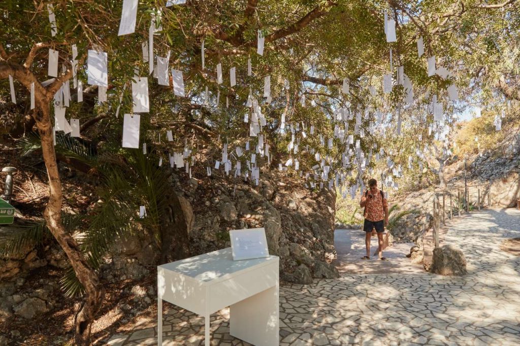 MOSTRE – Wish Tree for Sicily di Yoko Ono all’Isola Bella di Taormina