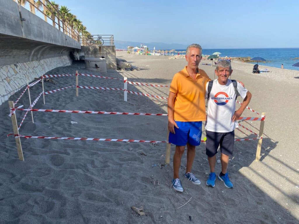 COSE BELLE – Capo d’Orlando, una tartaruga Caretta Caretta depone le uova sulla spiaggia di Villa Arenella