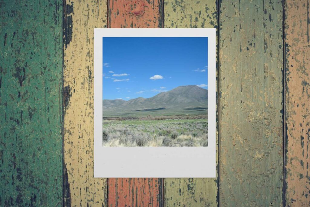 SCATTI CHE NON SBIADISCONO – La Polaroid tra nostalgia e rinascita