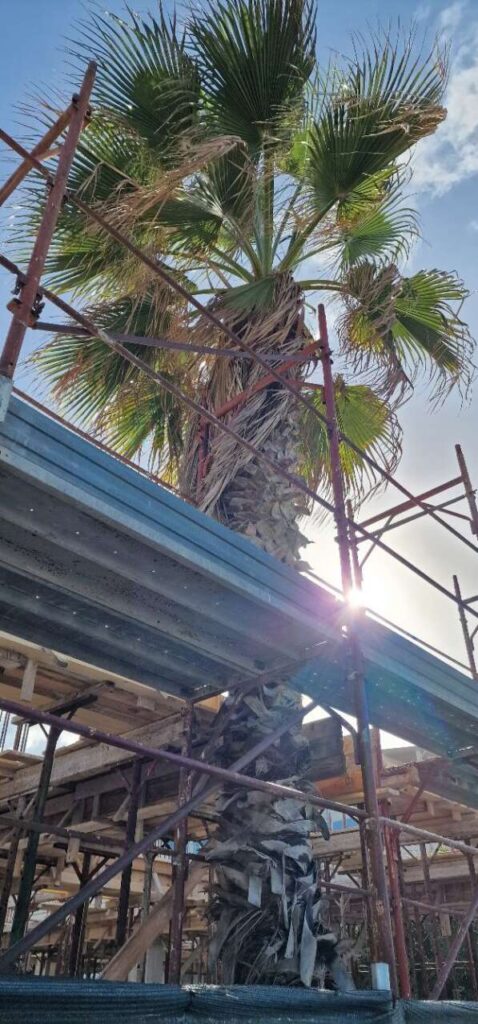 CAPO D’ORLANDO – Interrogazione dell’opposizione sul fronte mare: “Il Sindaco difenda la bellezza del paese”