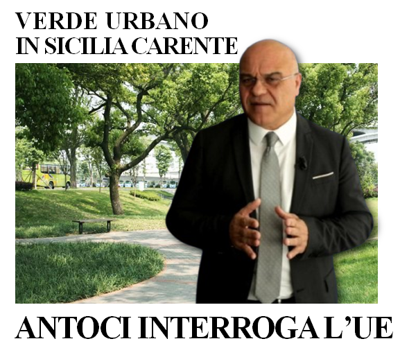 GIUSEPPE ANTOCI – Servono interventi concreti per le città siciliane: il verde urbano non è un lusso, ma una necessità