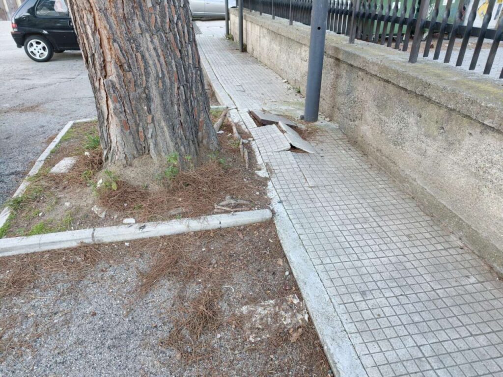 BROLO – Il sindaco Laccoto risponde alle polemiche sul taglio del pino