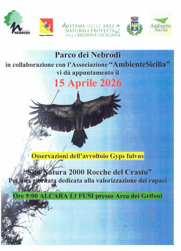 PARCO DEI NEBRODI – Giornata dedicata all’osservazione dei rapaci. Appuntamento ad Alcara Li Fusi il 15 aprile