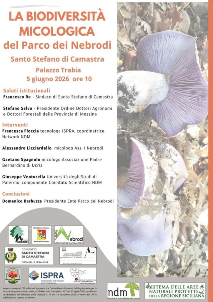 PARCO DEI NEBRODI – A S. Stefano di Camastra il convegno dedicato alla biodiversità micologica