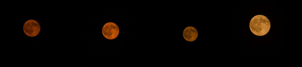 ALESSIA IOPPOLO – La luna cambia colore