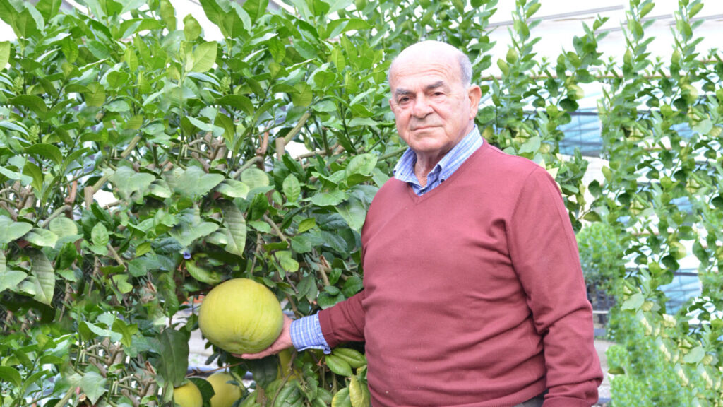 ADDIO A CARMELO SCILIPOTI – Pioniere del vivaismo siciliano e simbolo del territorio