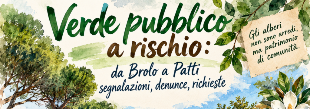 VERDE PUBBLICO A RISCHIO – Da Brolo a Patti alberi al centro del dibattito: «Non è un elemento decorativo»