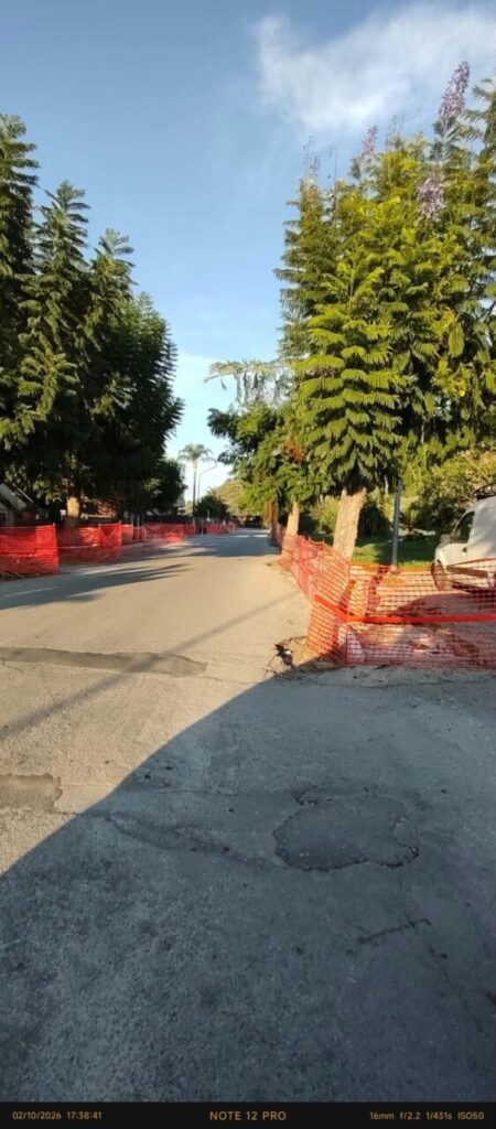 VERDE PUBBLICO LUNGO LE STRADE – Tortona conta gli alberi, Brolo li taglia